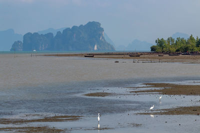 Scenic view of beach against sky