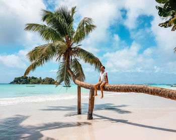 Palm trees on beach against sky