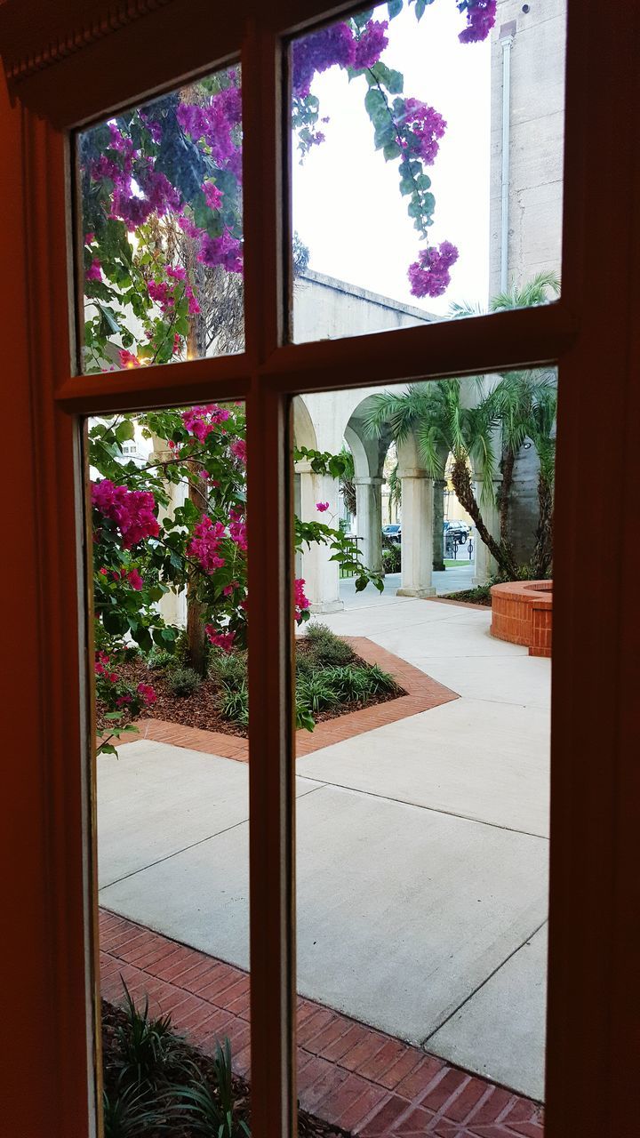 TREES SEEN THROUGH WINDOW OF TEMPLE