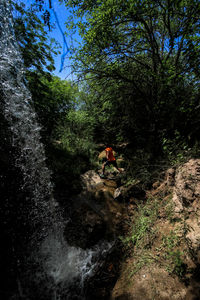 Man in forest