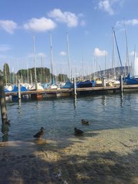 Boats moored in river