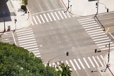 High angle view of road amidst trees in city