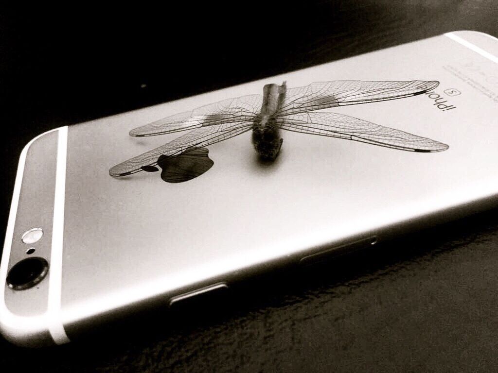 HIGH ANGLE VIEW OF EYEGLASSES ON TABLE