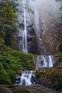 Scenic view of waterfall in forest