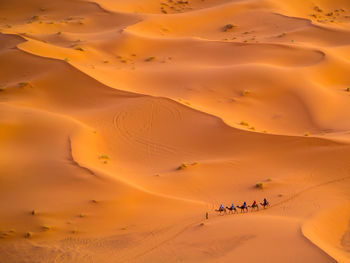 People riding camels on sand dunes in desert