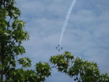 Low angle view of trees against sky