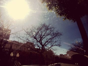 Low angle view of silhouette trees against sky