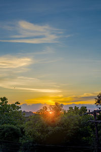 Plants and trees against sky during sunset