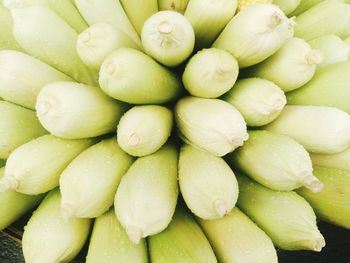 Close-up of wet sweetcorns for sale