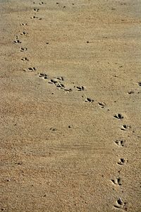 High angle view of footprints on sand at beach