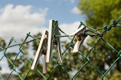 Close-up of clothespins hanging on metal against sky