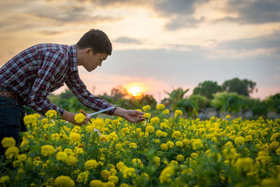 Close-up of yellow flower on field against sky