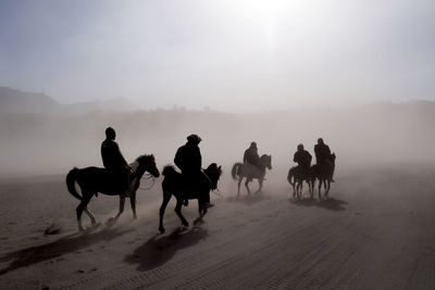 People riding horses on desert against sky