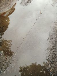 Reflection of sky in puddle