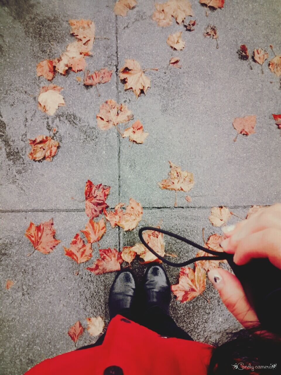 low section, person, lifestyles, autumn, high angle view, personal perspective, leaf, standing, shoe, leisure activity, change, season, human foot, leaves, directly above, fallen, men