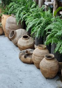 High angle view of potted plant