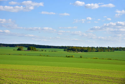 Scenic view of field against sky