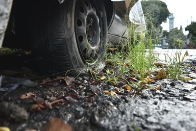 Close-up of tire track