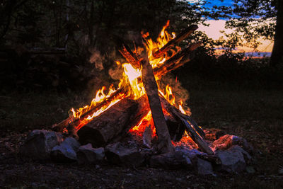 Bonfire on wooden log in field