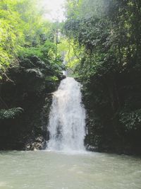 Scenic view of waterfall in forest