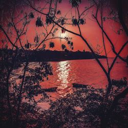 Silhouette trees by lake against sky during sunset