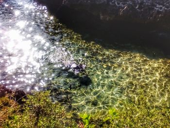 Scenic view of pond