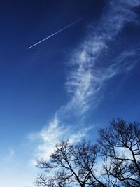 Low angle view of bare trees against blue sky