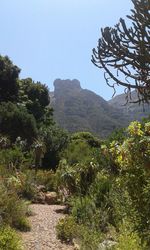 Scenic view of landscape against clear sky