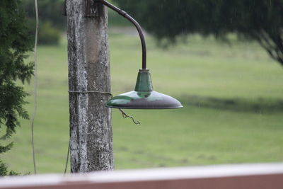 Close-up of bird perching on wooden post