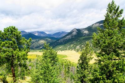 Scenic view of trees and mountains against sky