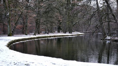 River amidst trees in forest during winter