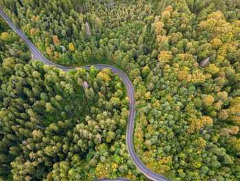 Winding road through the forest, from high mountain pass, in autumn season. aerial view by drone