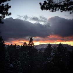 Scenic view of landscape against cloudy sky