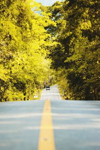 Empty road along trees