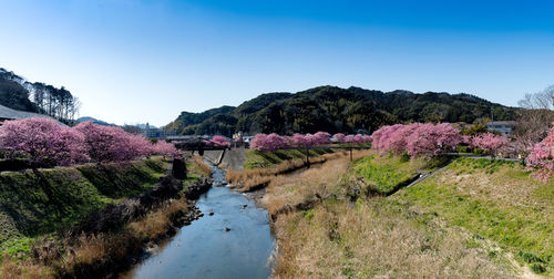 Scenic view of river against clear sky