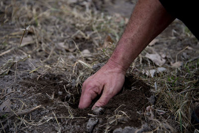 Close-up of hand holding plant on field