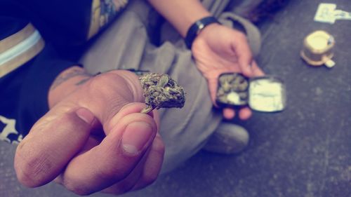 Close-up of man holding marijuana