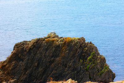 High angle view of rock formation in sea