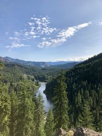 Scenic view of river amidst trees against sky