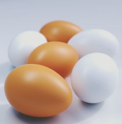 Close-up of food on table