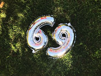 High angle view of grass on field