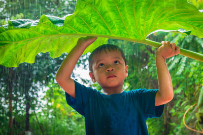Cute boy holding leaf while standing against trees during rainy season
