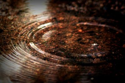 Full frame shot of wood