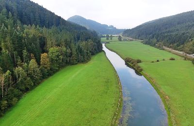 Stream flowing through a river