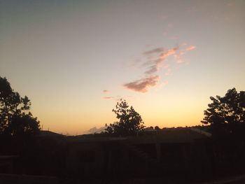 Silhouette of trees at sunset