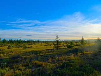 Scenic view of grassy field against cloudy sky