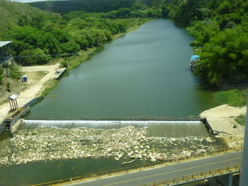 High angle view of river amidst trees