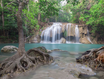 Scenic view of waterfall in forest