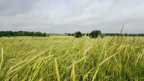 Scenic view of field against cloudy sky