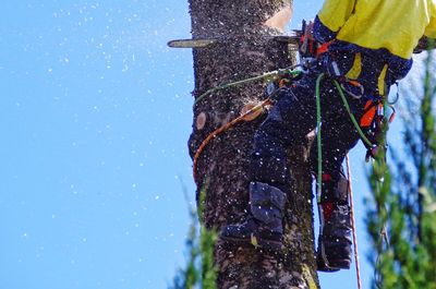 Low angle view of man cutting tree with chainsaw against sky